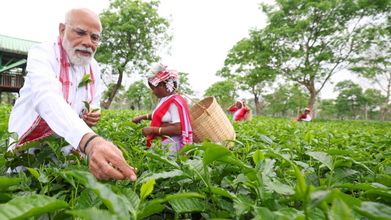 ‘Tea is Assam’s soul’: PM Modi engages with tea workers in Dibrugarh